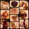 Ola Restaurant