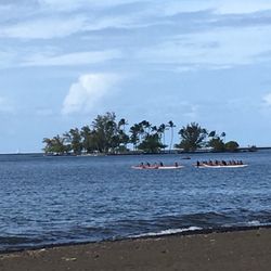 bayfront park 11 photos parks 1273 kamehameha ave hilo hi yelp water works hilo