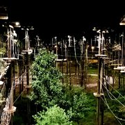 Radical Ropes Temp Closed 24 Photos 28 Reviews Challenge Top Tier Photo Of Radical Ropes Myrtle Beach Sc United States