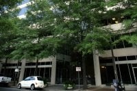 image of business Park Place Dentistry