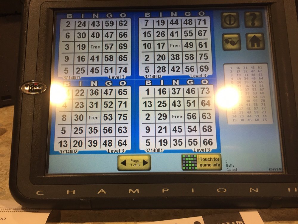 Bingo Bingo