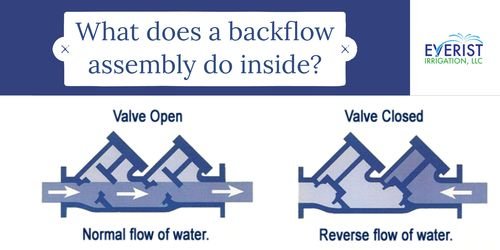 Backflow Testing Specialist