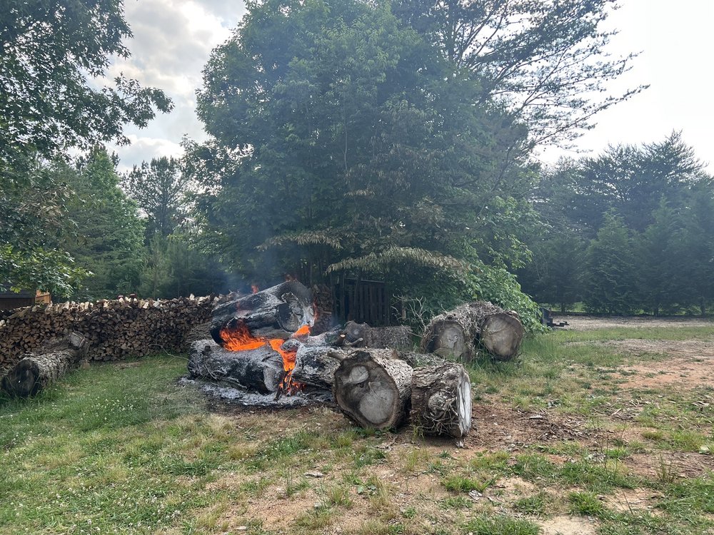 God's Way Tree Service