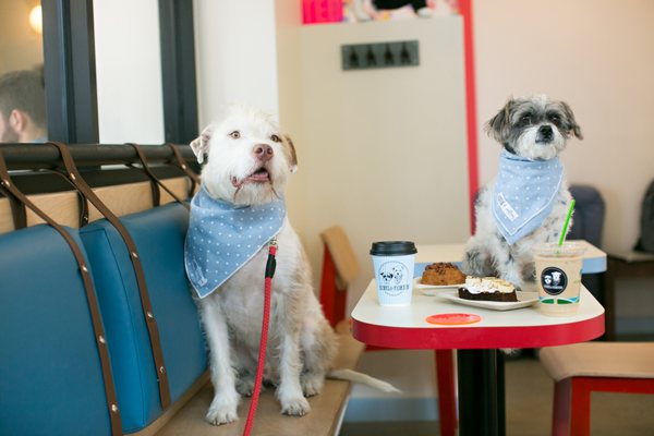 Photo of Boris & Horton - New York, NY, United States. Boris and Horton enjoying a bite in the cafe.
