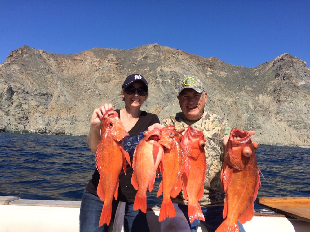 Sport Fishing Near Huntington Beach Ca Sport Fishing Near Huntington Beach Ca
