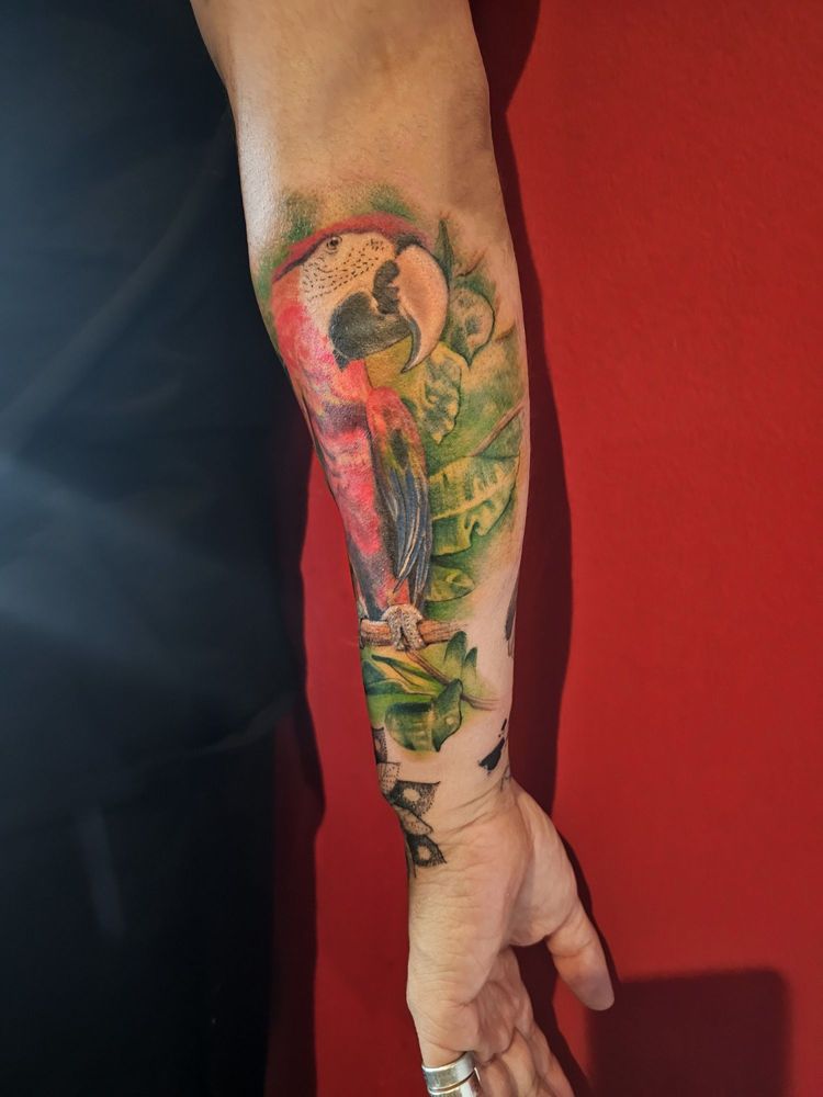 American Ink Tattoo Studio