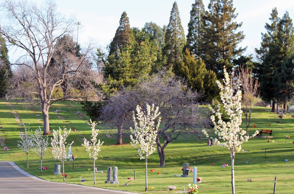 Auburn Cemetery District Funeral Services & Cemeteries 1040 Collins