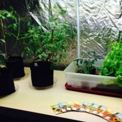 Ok Lets Grow Rhode Island Closed Nurseries Gardening Photo Of Ok Lets Grow Rhode Island Johnston Ri United States
