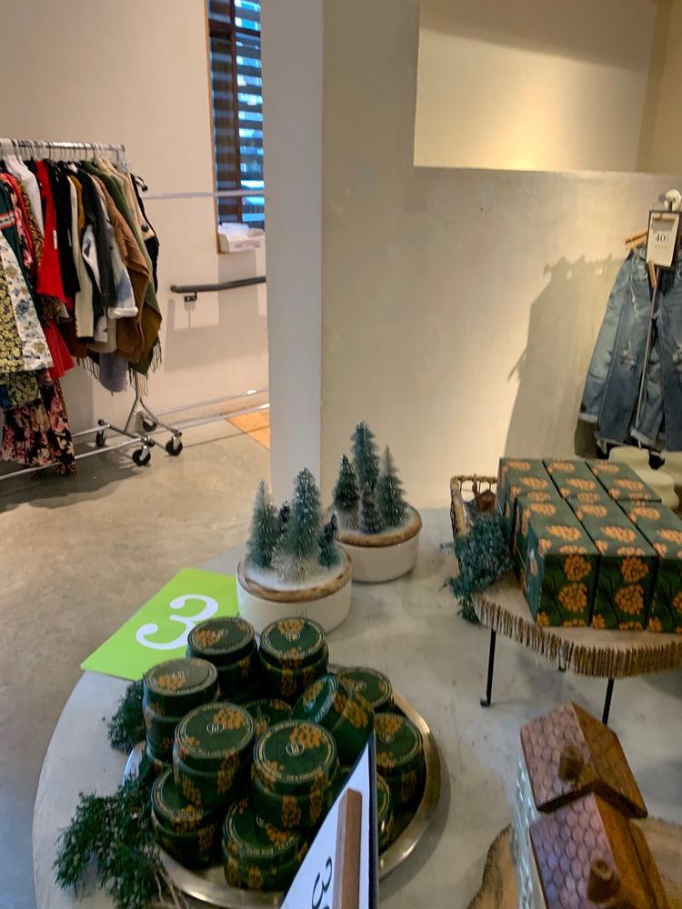 Anthropologie