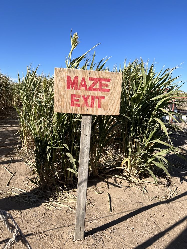 La Union Maze