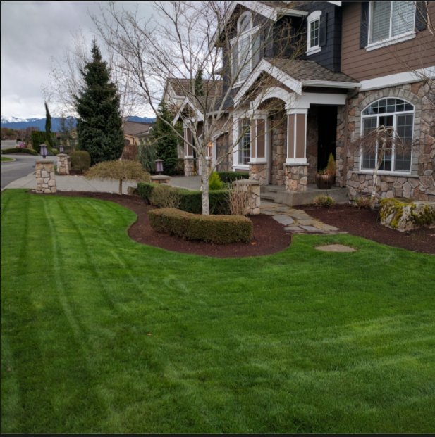 Zepeda Landscaping