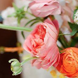 Top 10 Best Baby Shower Invitations In Orlando Fl Last Updated Category