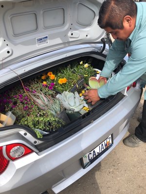 Vineland Nursery 6200 Ave North Hollywood Ca Nurseries Hotels Nearby