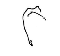 Mendocino Ballet