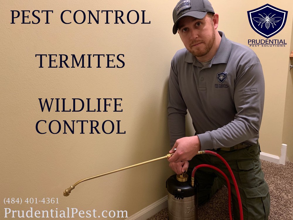 Prudential Pest Solutions