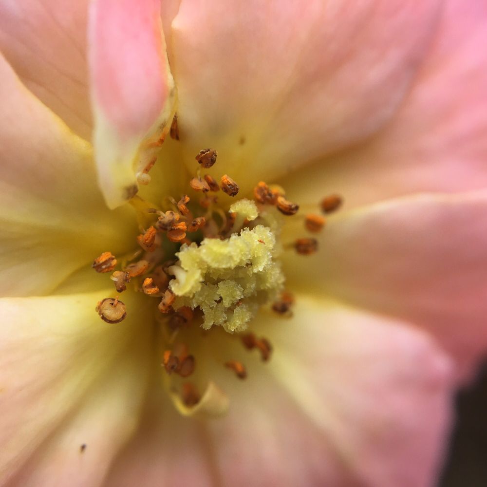 Lukas Nursery & Butterfly Encounter 48 Photos & 58 Reviews