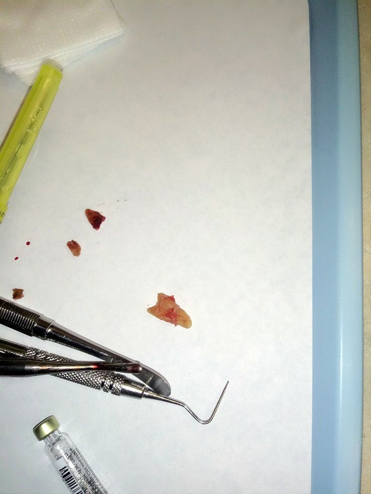 image of business Risas Dental and Braces - South Tucson