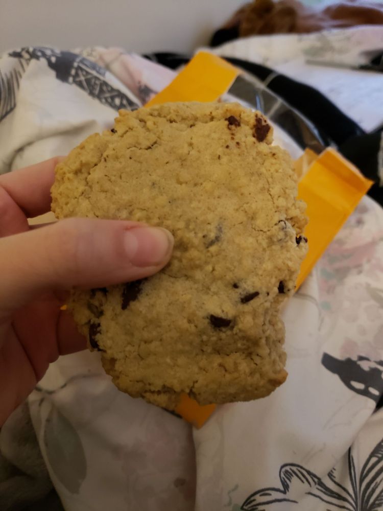 Potbelly Sandwich Oatmeal Chocolate Chip Cookie Recipe Besto Blog
