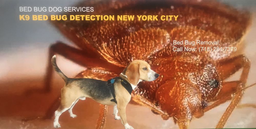 Best @ Pest Exterminating