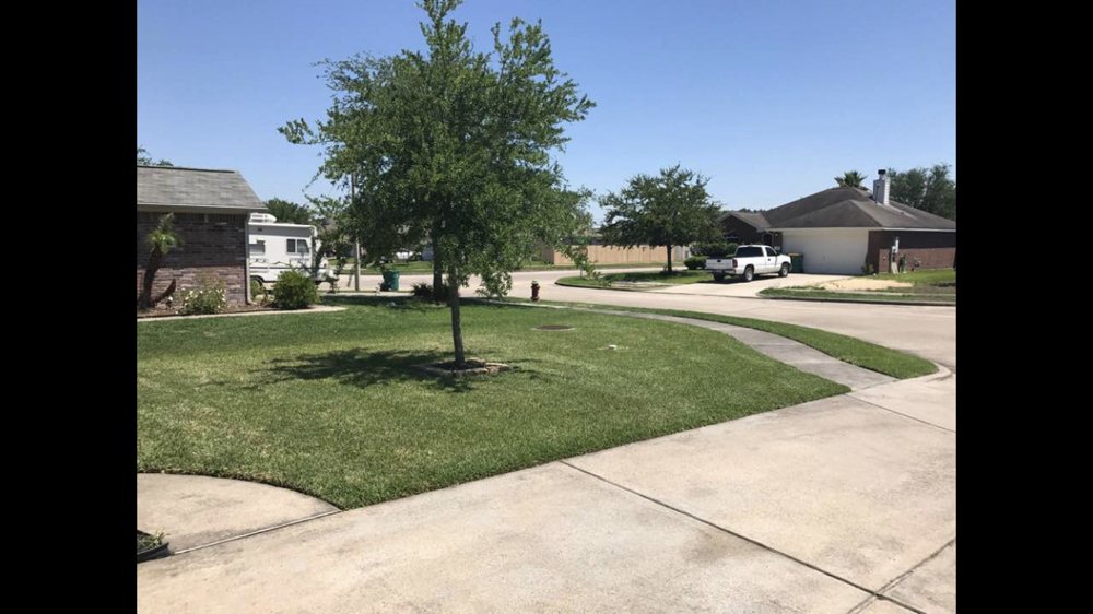 American Lawns