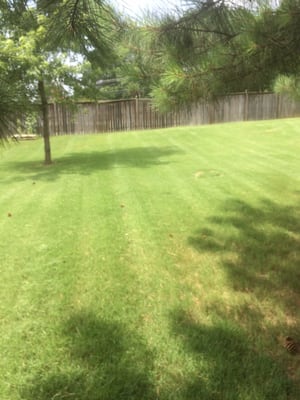Edge Above Landscaping Tree Services 2327 Starr Lake Dr Acworth Photo Of Edge Above Landscaping Acworth Ga United States