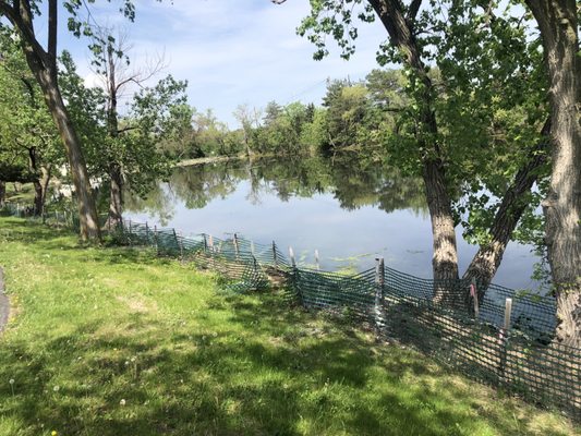 Burr Ridge, IL Map & Directions - MapQuest