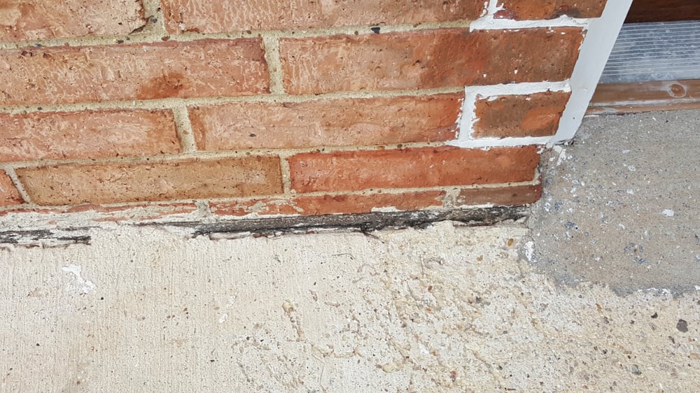 image of business Image Remodeling & Repairs