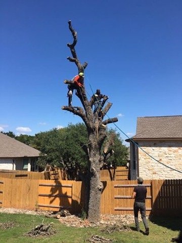Texas Sun Tree Services
