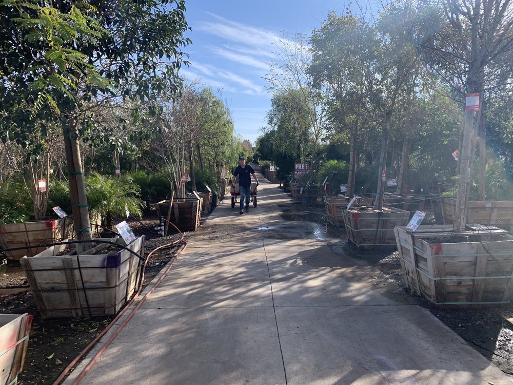 Moon Valley Nurseries 18047 N Tatum Blvd Phoenix Az 85032