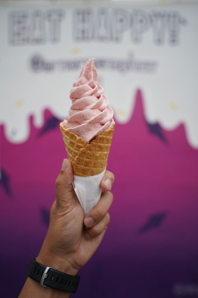 Mr. Norm's Nephew Frozen Yoghurt & Ice Cream