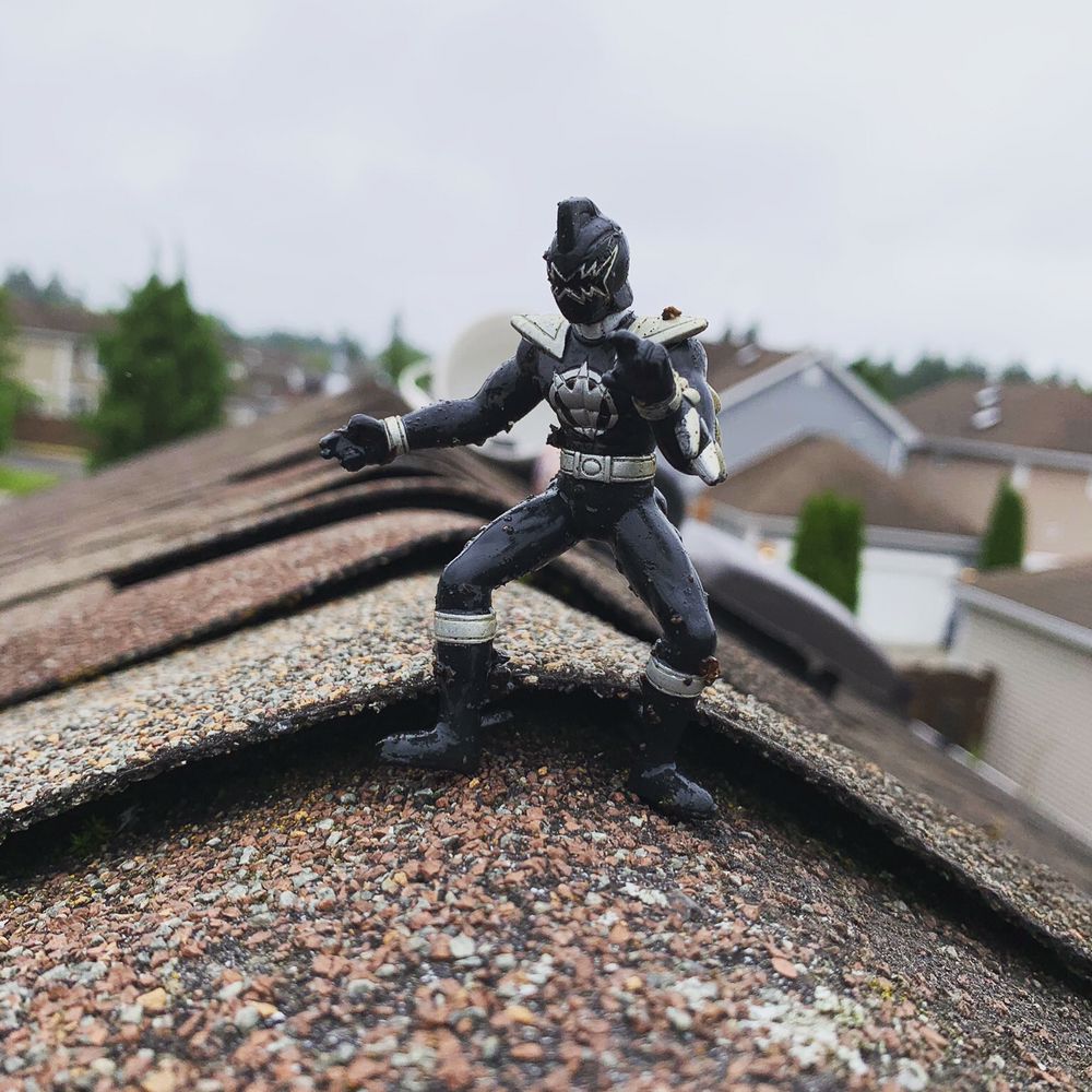 Window and Gutter Cleaning Ninjas