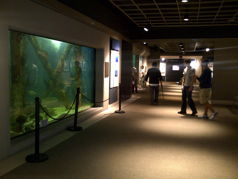 Sea Center Texas 52 Photos & 17 Reviews Tours 302 Medical Dr