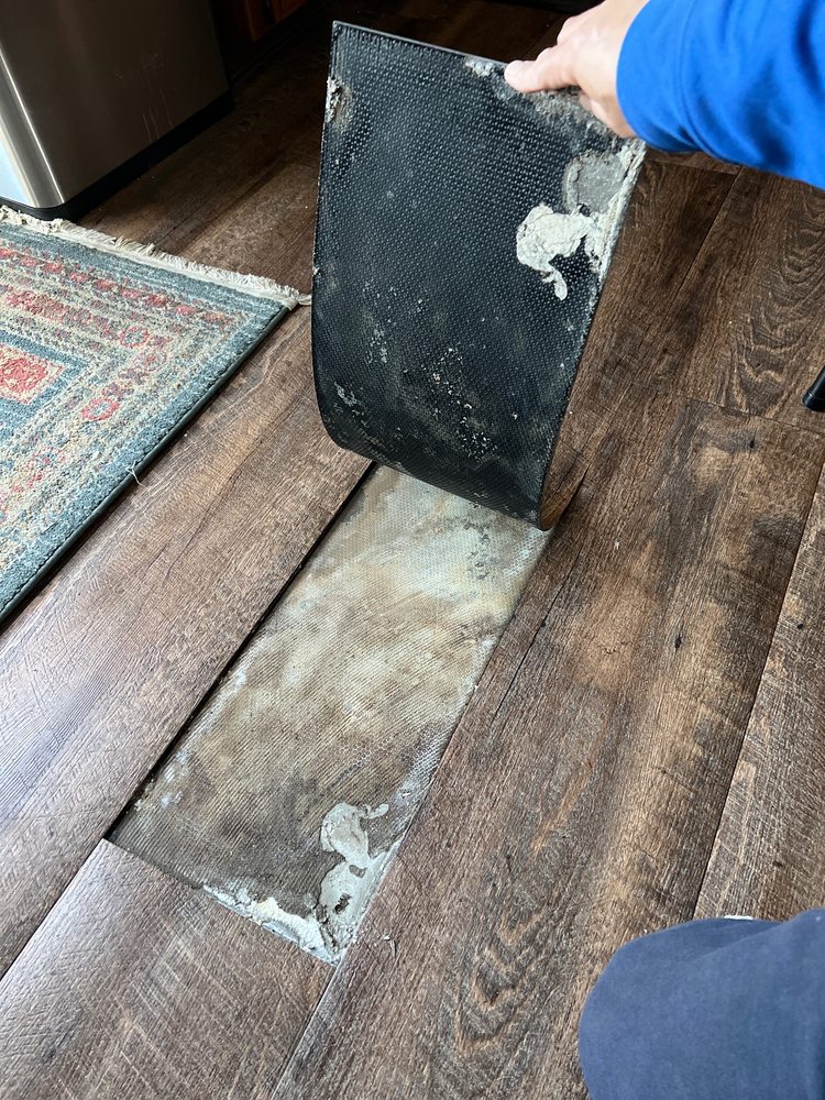 image of business Carpet Cave