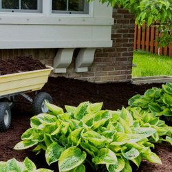Aaron Preston S Landscape Service And Garden Center 13 Photos Photo Of Aaron Preston S Landscape Service And Garden Center Ontario Ny United States