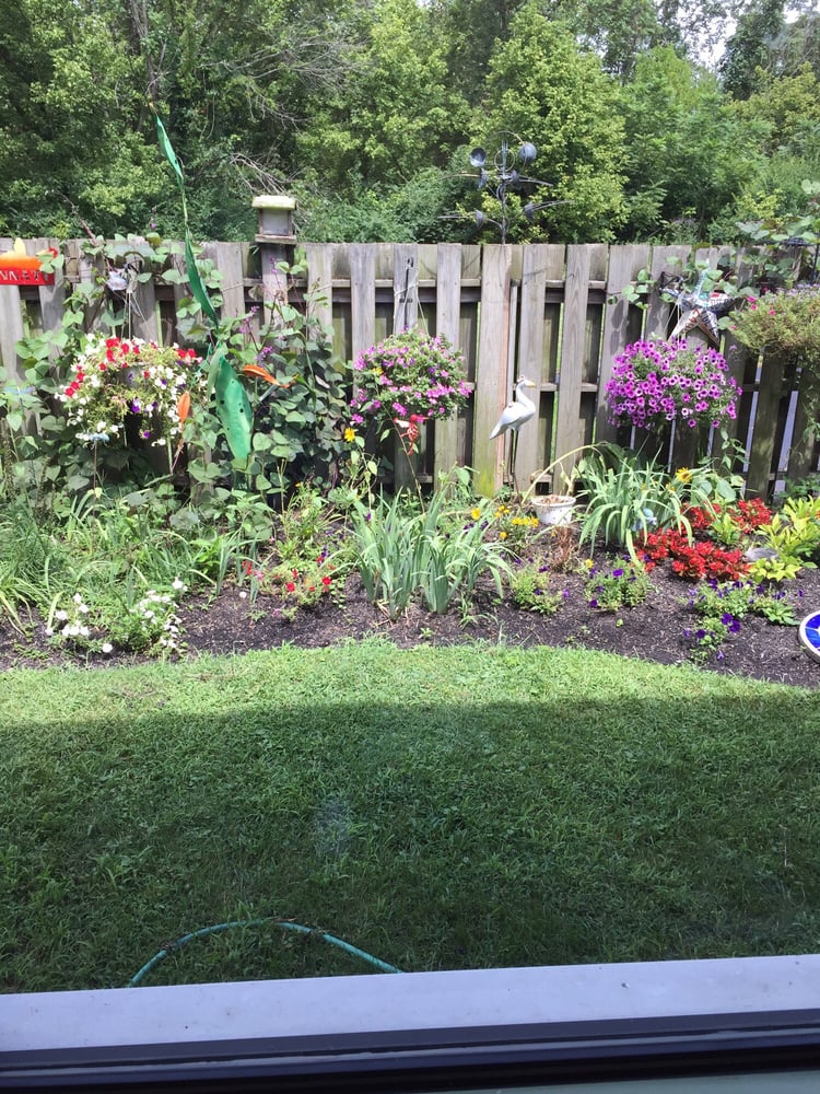 image of business Richard E Godfroy, DDS