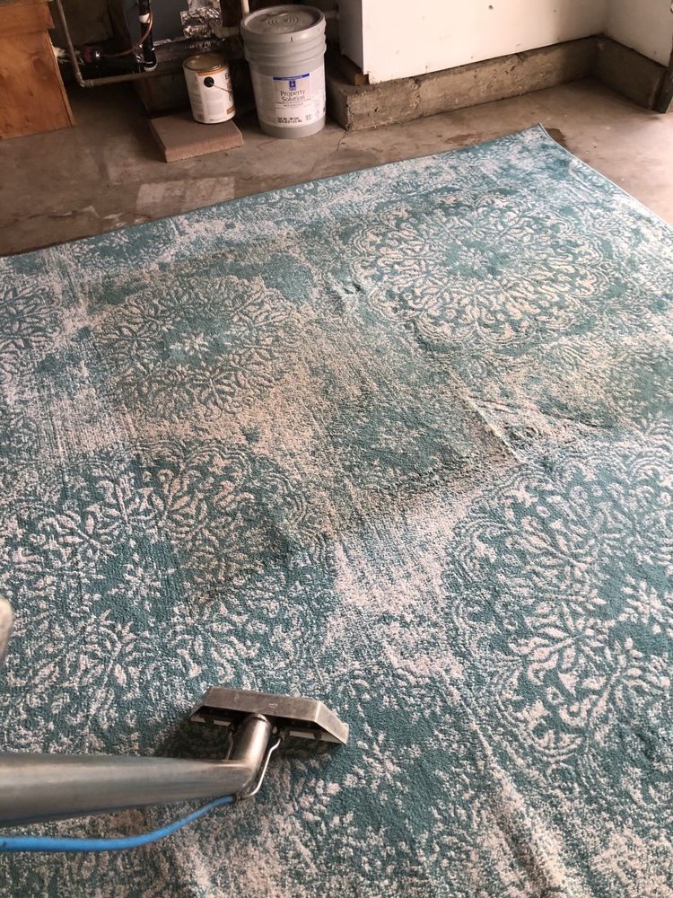 Cotton Carpet Care