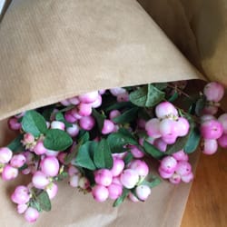 blomster nordre frihavnsgade blomster nordre frihavnsgade