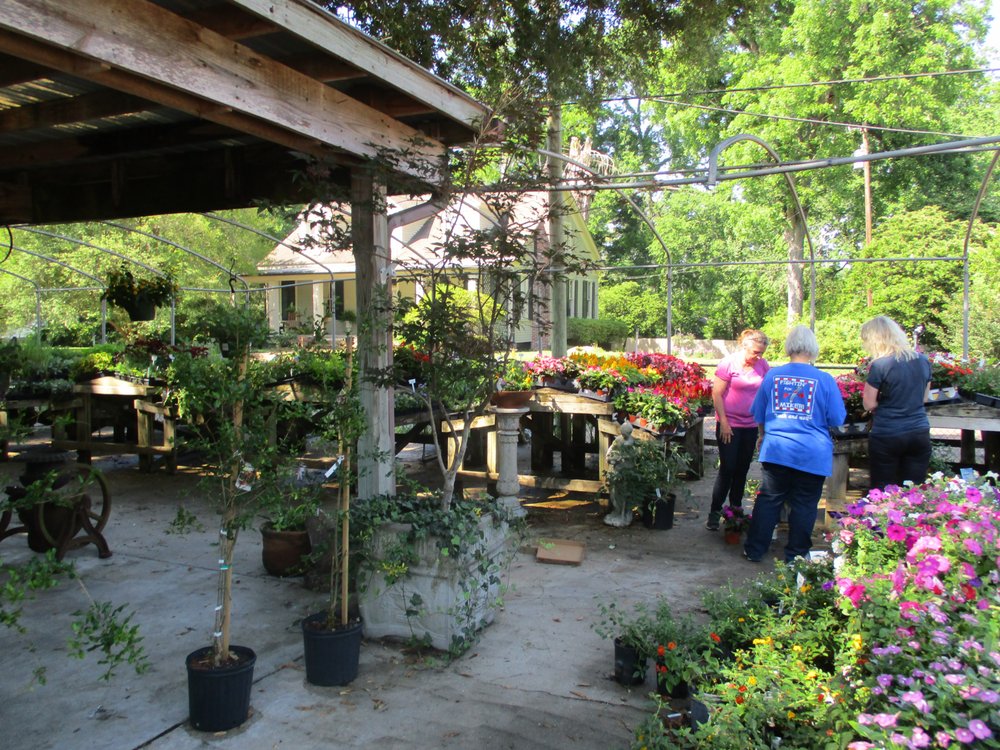 Live Oak NurseryThompson Tree & Sprayng Srvce Nurseries & Gardening