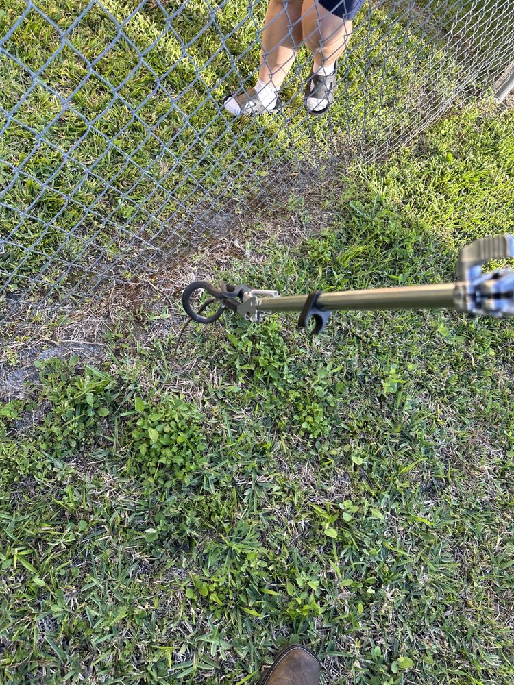 Catch’EM Wildlife Removal