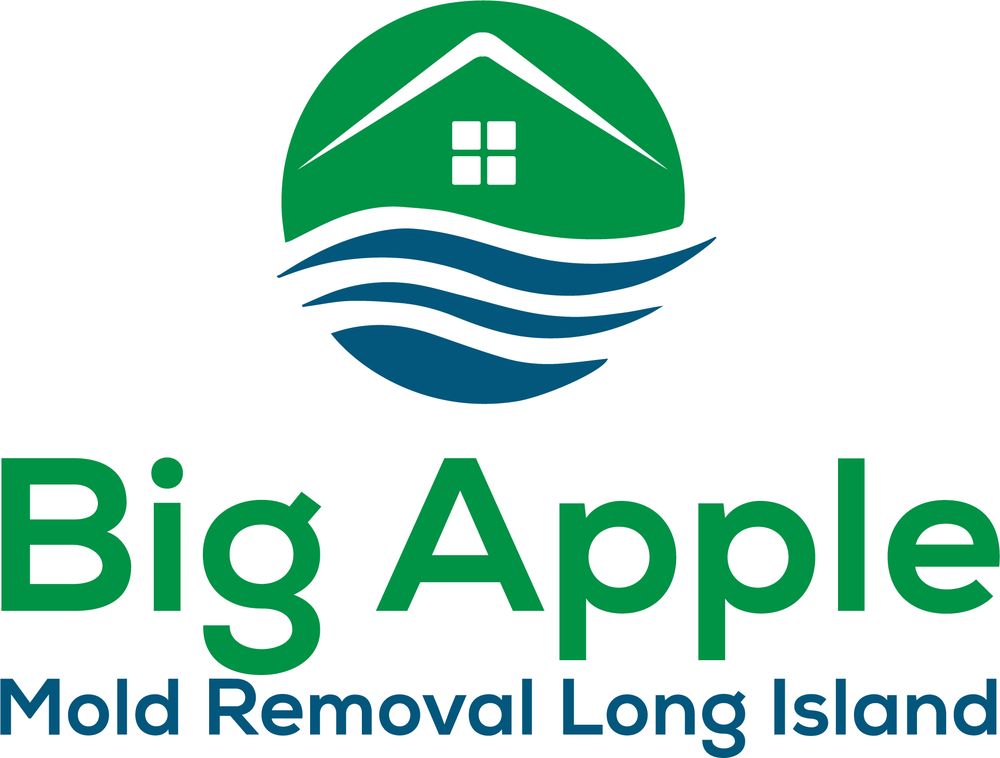 Big Apple Mold Removal Long Island