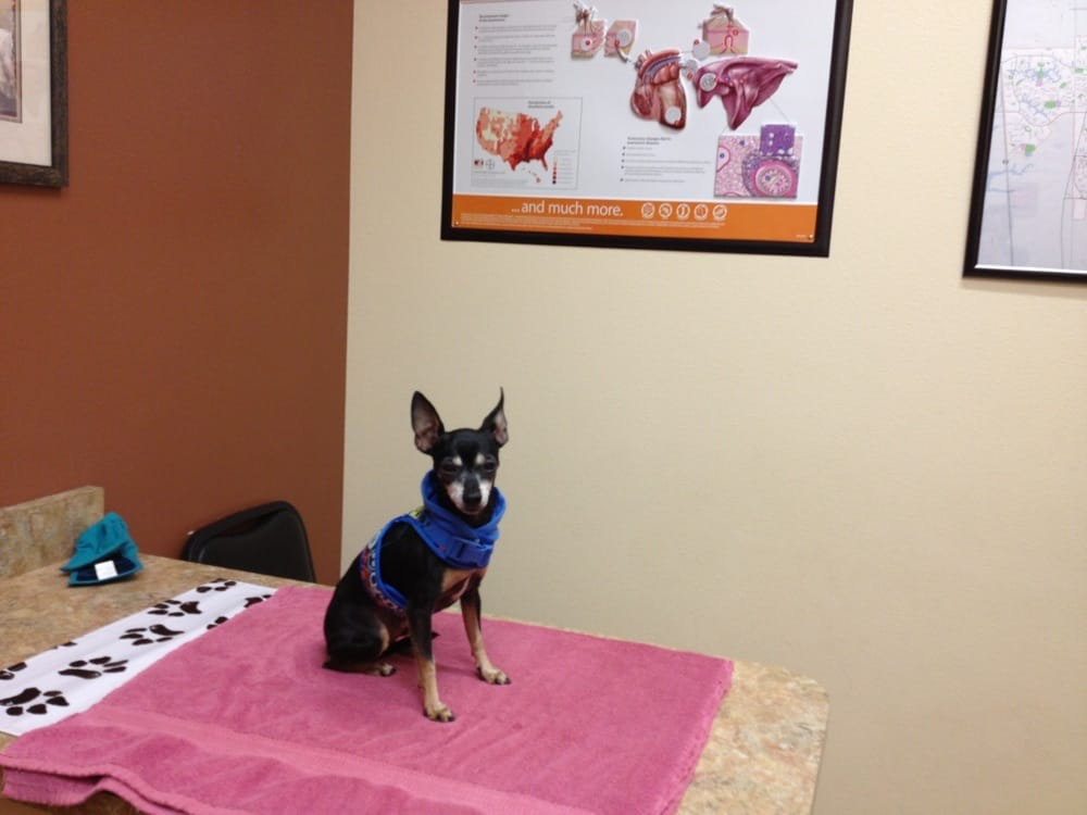 Kittel Family Veterinary Practice 31 Photos & 53 Reviews