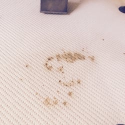 Carpet Cleaning In Santa Clarita Valley Ca Commercial Photo Of Etreme Carpet Cleaning Santa Clarita Ca United States Before