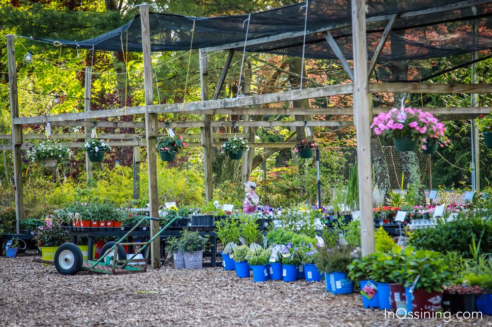 Pinesbridge Nursery