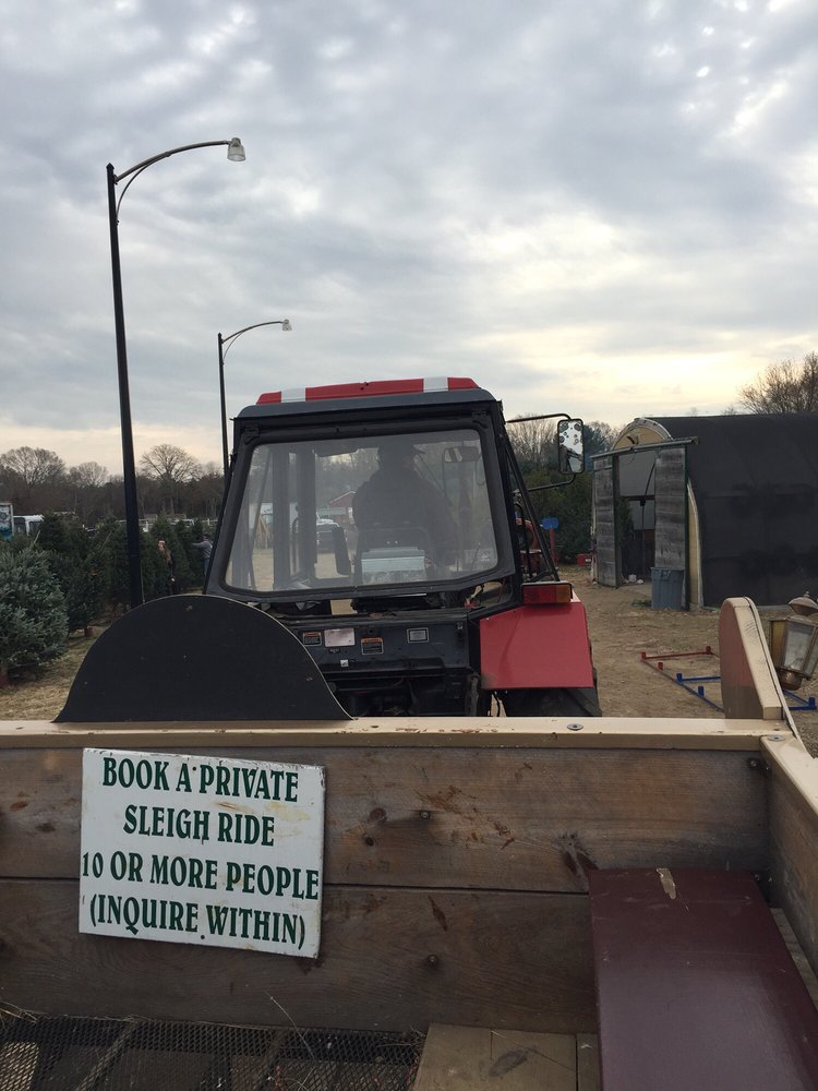 photos for pleasant street christmas tree farm yelp photos for pleasant street christmas tree farm yelp