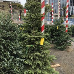 Delancey Street Holiday Trees Decorations 2020