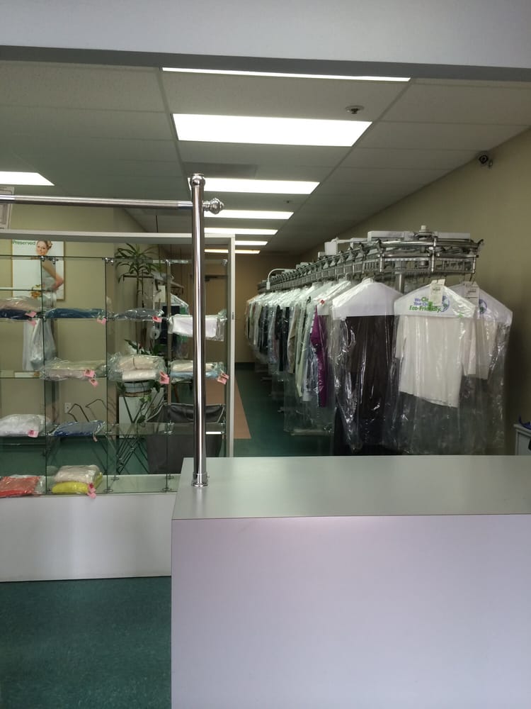 The Owl Cleaners