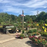 Hampton Nursery Landscapes Nurseries Gardening 205 W Montauk Photo Of Hampton Nursery Landscapes Bays Ny United States