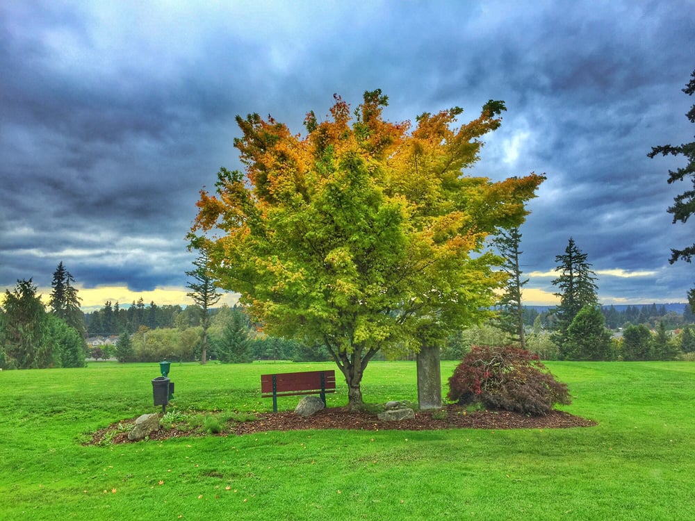 Cedarcrest Golf Course 28 Photos & 14 Reviews Golf 6810 84th St