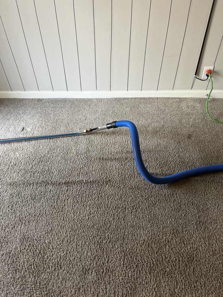 Organic Choice Carpet Cleaning