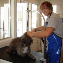 Dog Grooming College Park Fl Dog Grooming College Park Fl